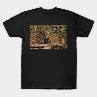 Little Big Man T-Shirt